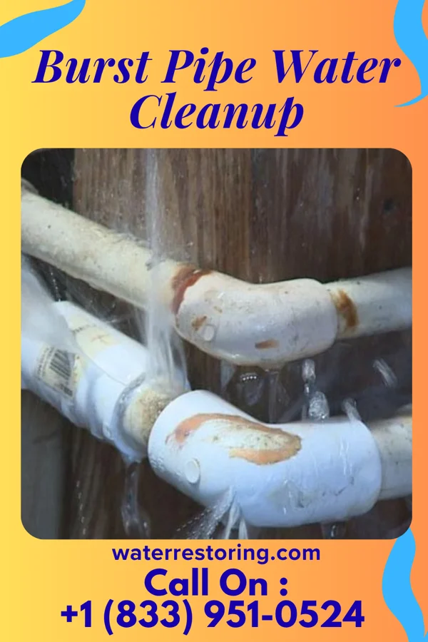 Burst Pipe Water Cleanup in Fort McKinley, OH