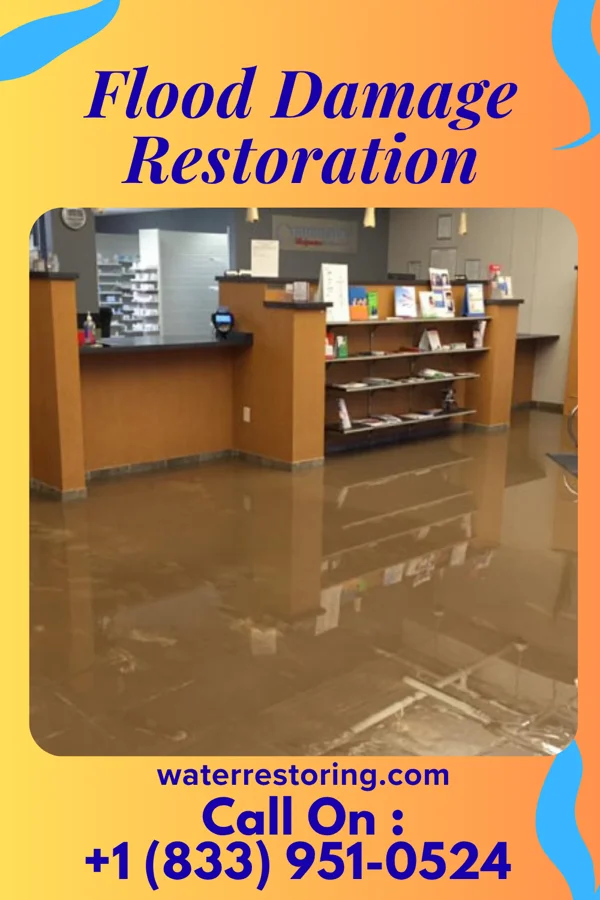 Flood Damage Restoration in Fort McKinley, OH