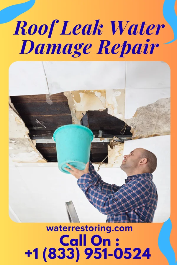 Roof Leak Water Damage Repair in Fort McKinley, OH