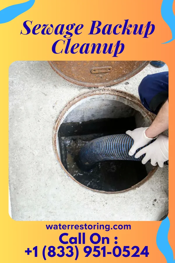 Sewage Backup Cleanup in Fort McKinley, OH