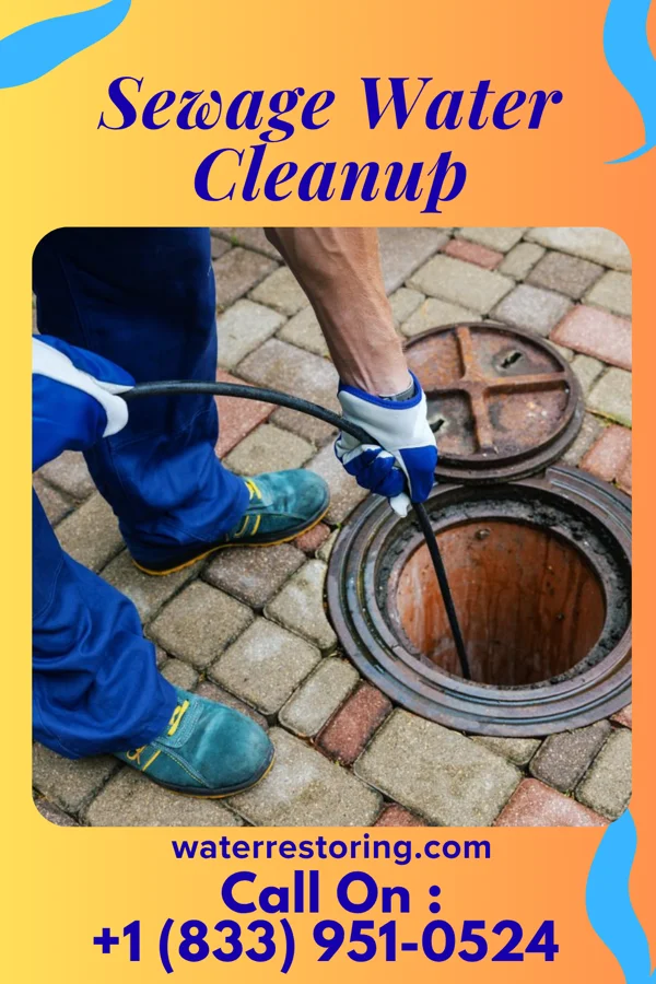 Sewage Water Cleanup in Fort McKinley, OH