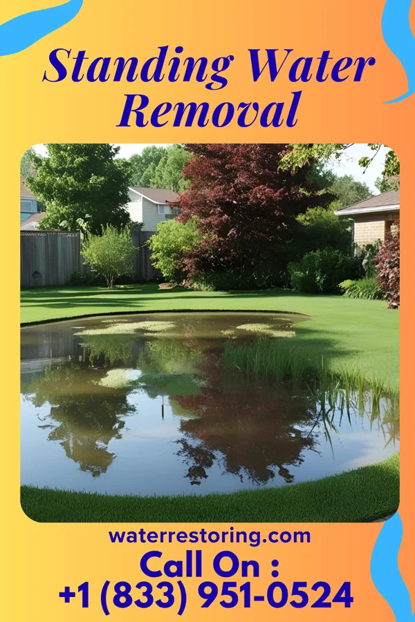 Standing Water Removal in Fort McKinley, OH